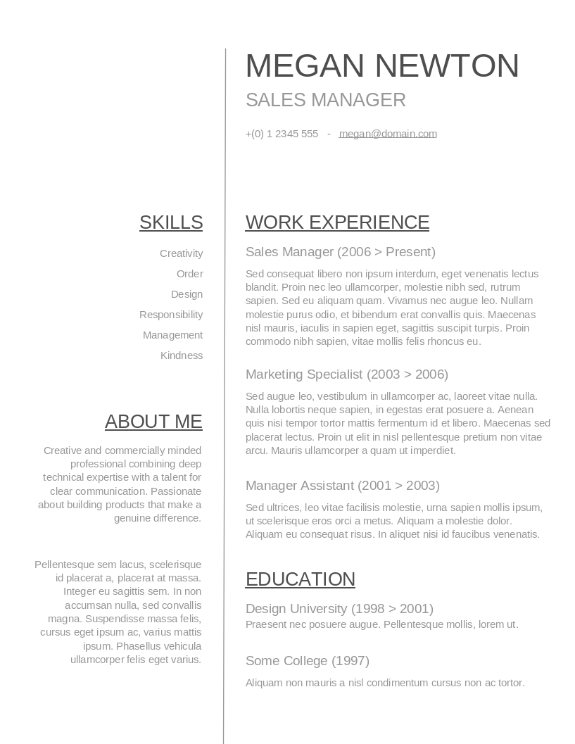 Plain and Simple CV preview